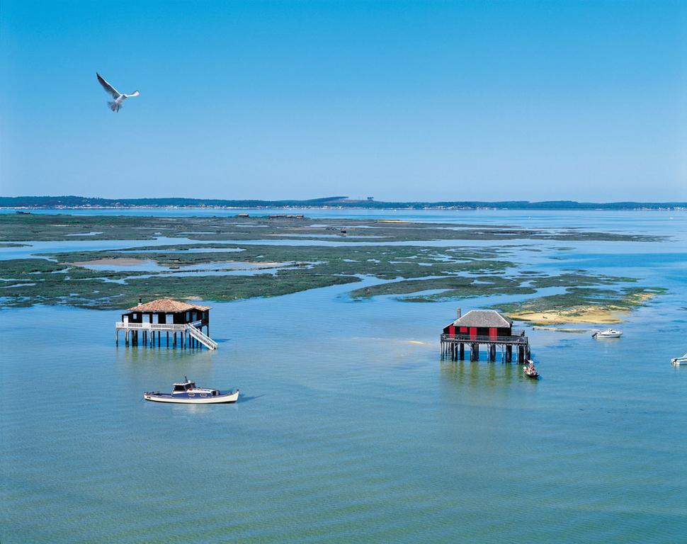 D'hôtes La Louisiane