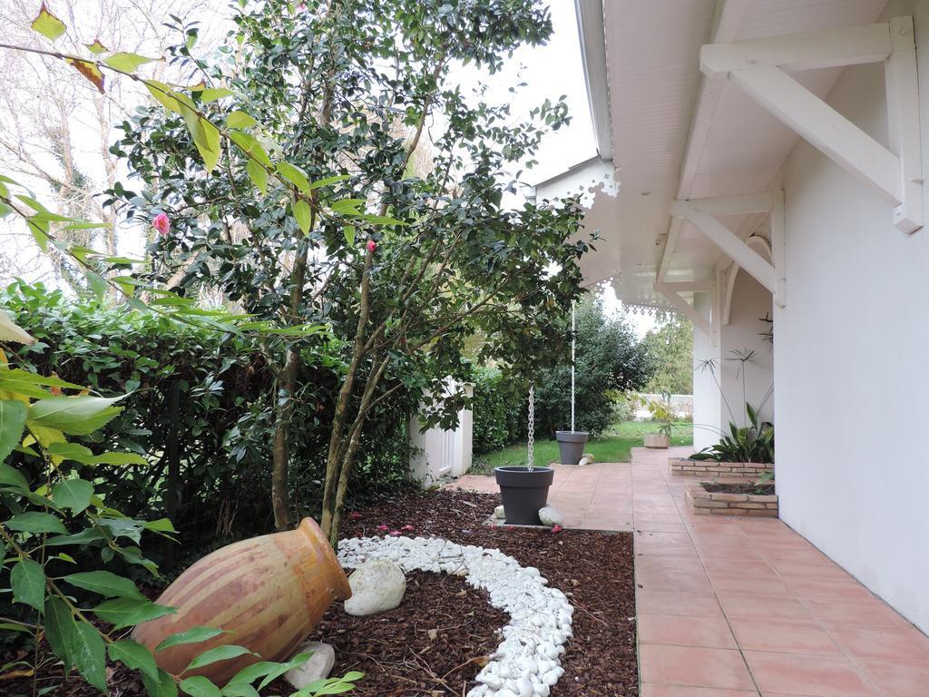 Chambres D'Hotes Villa La Louisiane Frühstückspension 3*